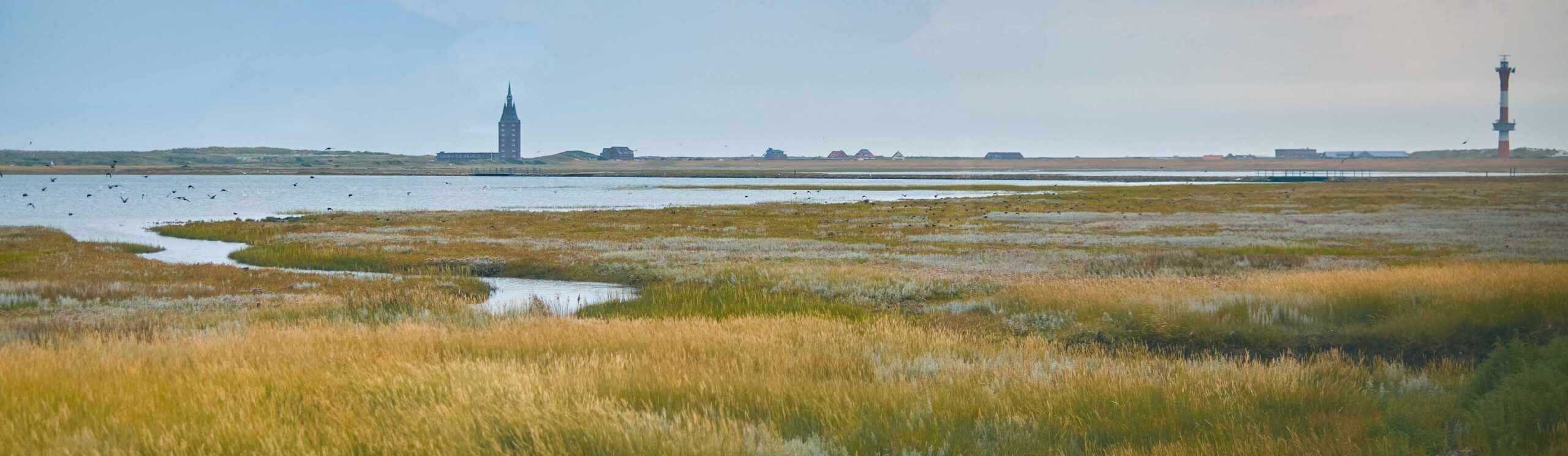 Wangerooge