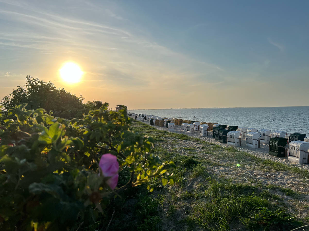 Blick auf den Hooksieler Strand im Wangerland