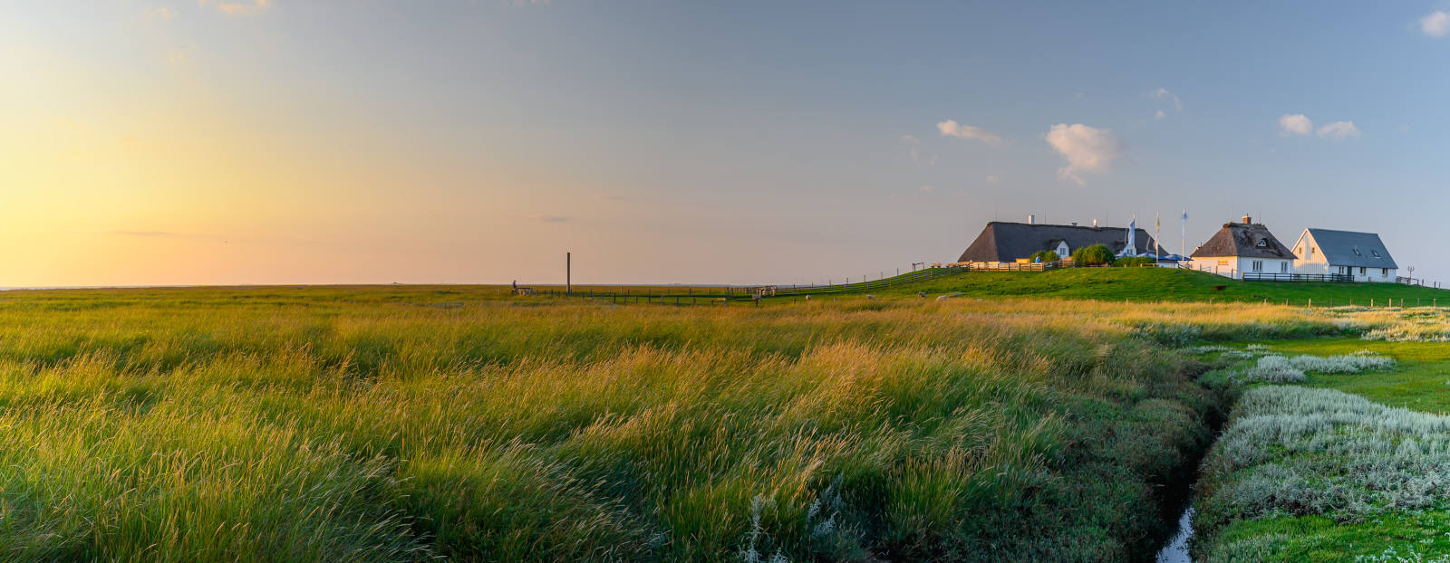 Aufnahme einiger Häuser auf einer Hallig, Symbolbild für Immobilien im Klimawandel